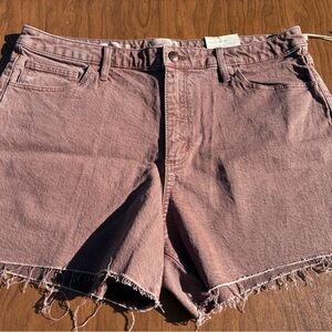 Women’s Universal Threads Vintage Midi Shorts in Sandpiper Brown Size 16 NWT